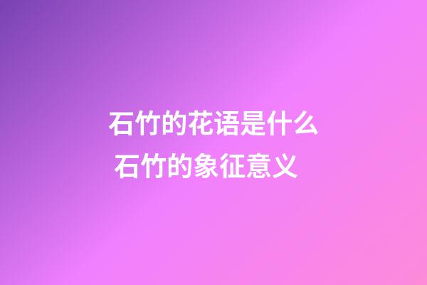 石竹的花语是什么 石竹的象征意义